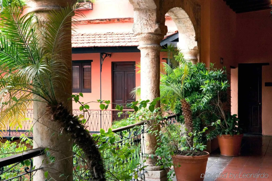 Frances Santo Domingo Mgallery Collection