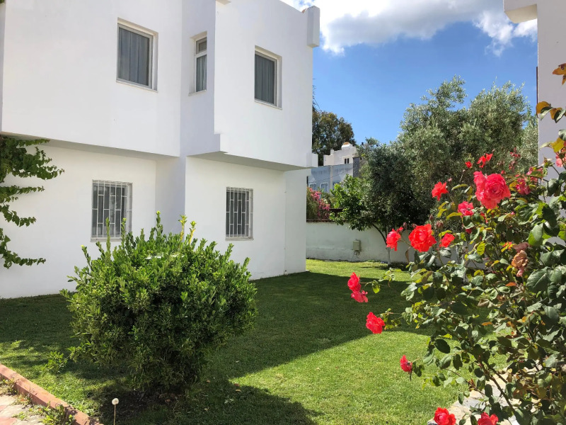 Lavinya Apart Hotel Golturkbuku