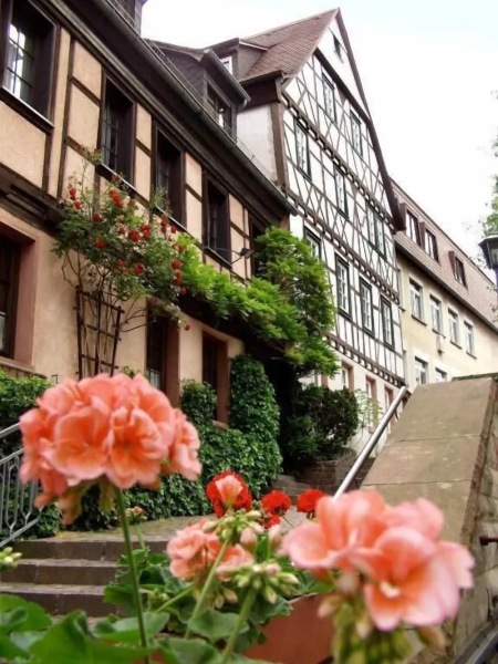 Bacchus Hotel