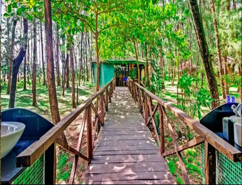 Devbagh beach resort - Junglelodges