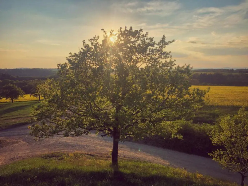 Altes Pfarrhaus Gondershausen