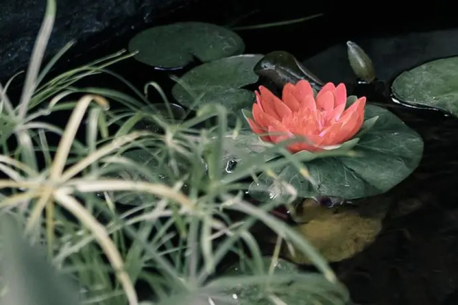 The Gallery Bed and Breakfast