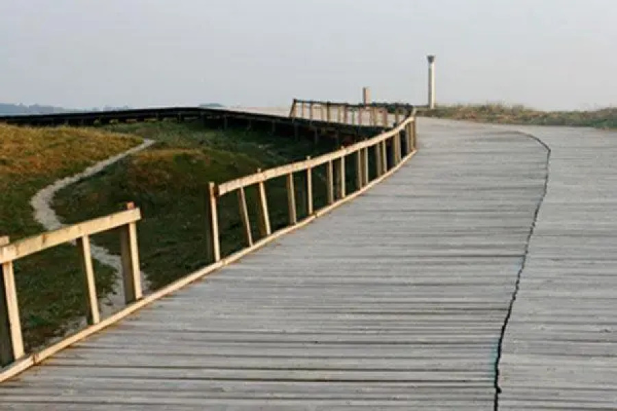 Pension Residencia Playa Major