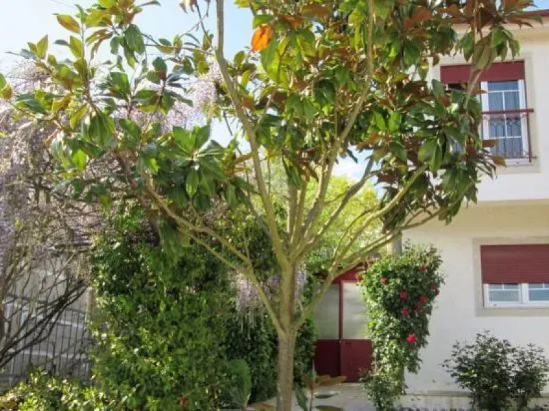 Casa da Magnólia