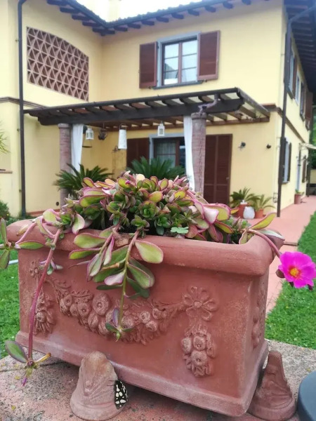 La Rondine Pisa e Lucca