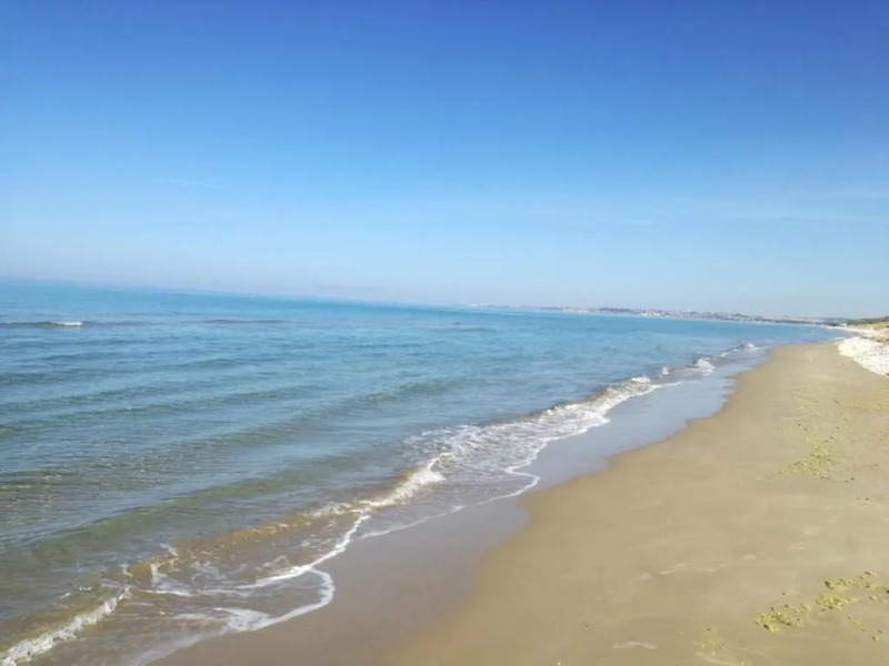 Casa "Ulivi nel Mare"