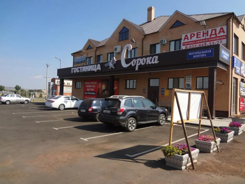 Сорока
