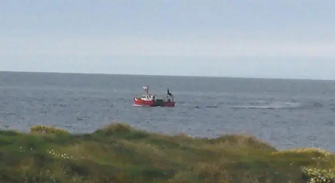 The Clovers, Fethard on Sea