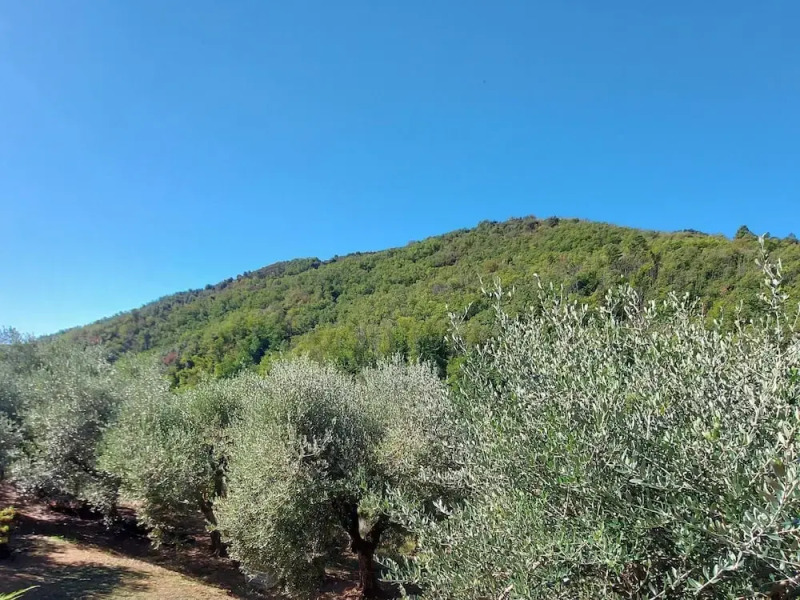 Holiday Home in Tuscany Near Lucca