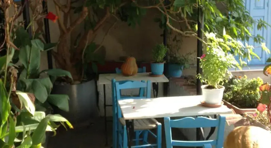 Traditional Guesthouse Leda