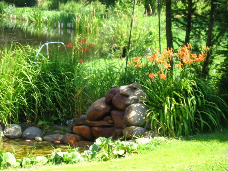 Rekowo Rekowo in Rekowo