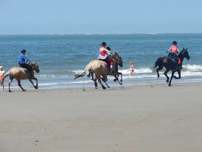 Beautiful Family House With Spacious Garden by the North Sea