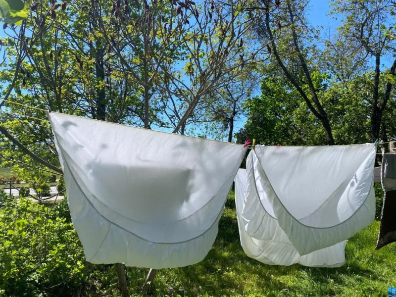 Skrunda Apartments Rustic