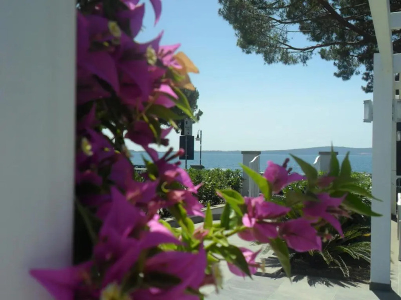 Skipper White Guest House