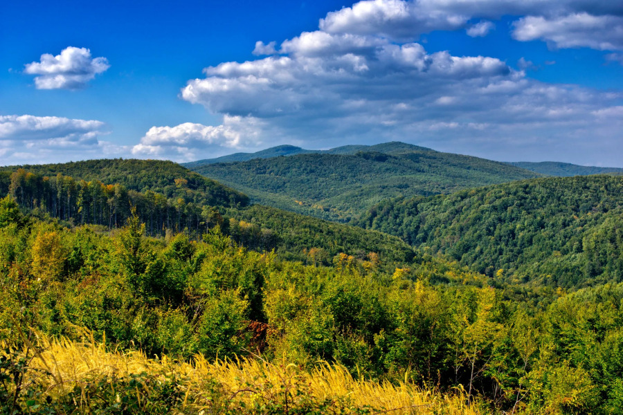 Rural Homestead Trenkovo