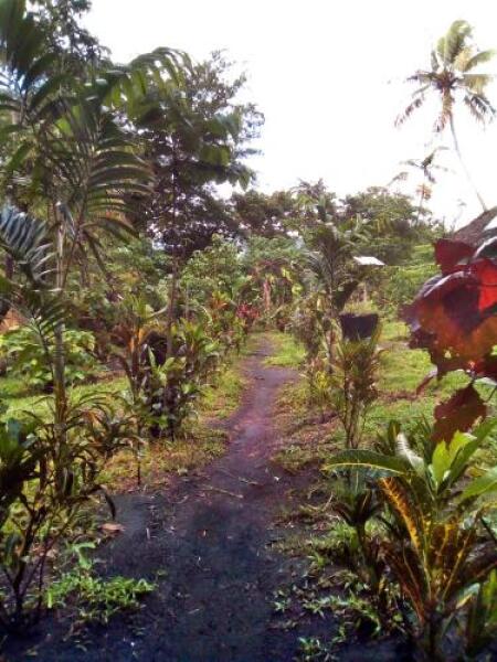 Tanna Volcano View Treehouse