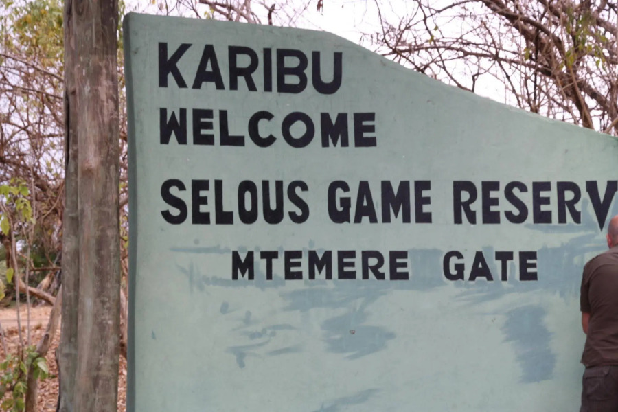 Africa Safari Selous