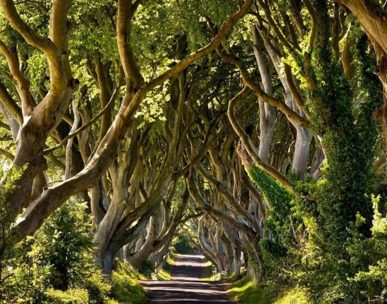 Millstone House family friendly holiday let in Portstewart