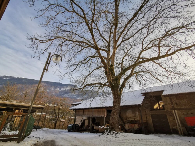 Casa in tipico Maso, tra natura e tradizione
