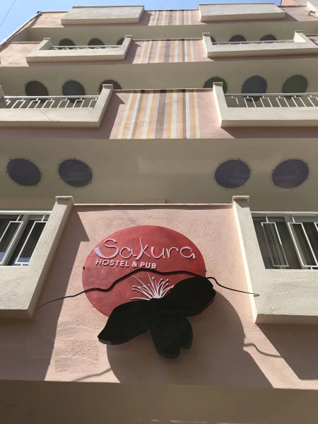 Sakura Hostel & Pub