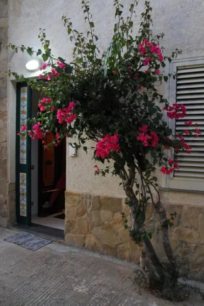 Tenuta Petreria 2 con acesso diretto al mare