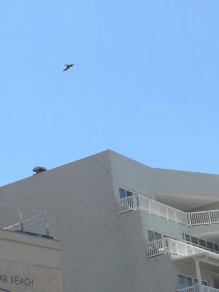 103 Camarque Umdloti Beach Resort