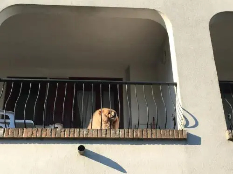 Res. Michelangelo Resort 252S