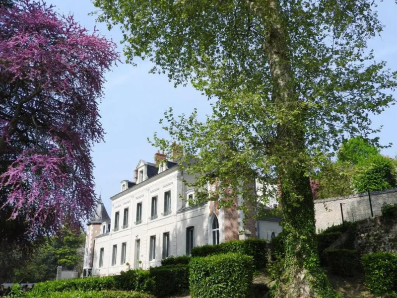 Château des Basses Roches