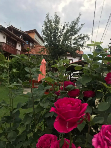 Guest House Fudulski