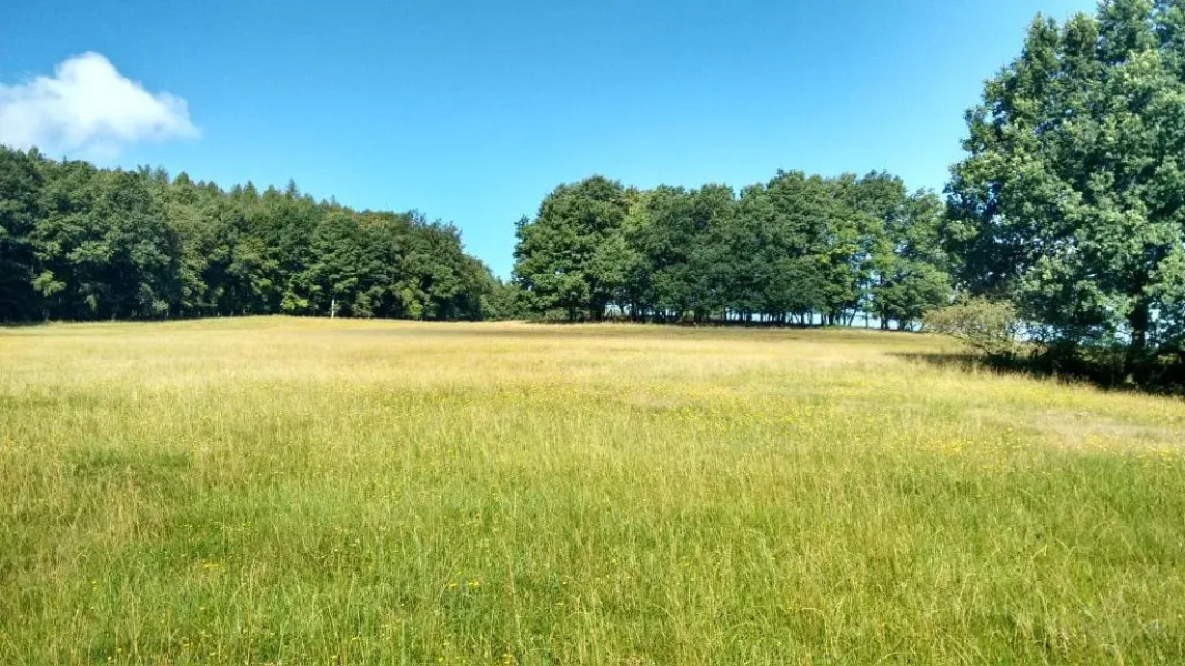 Apartment Haus Sembachtal