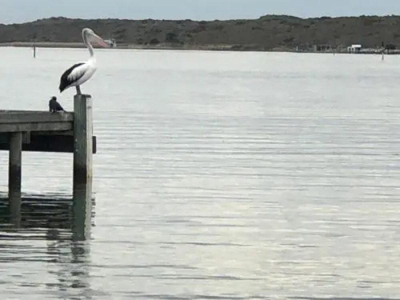 Goolwa Mariner’s Cottage - Free Wifi and Pet Friendly - Centrally located in Historic Region