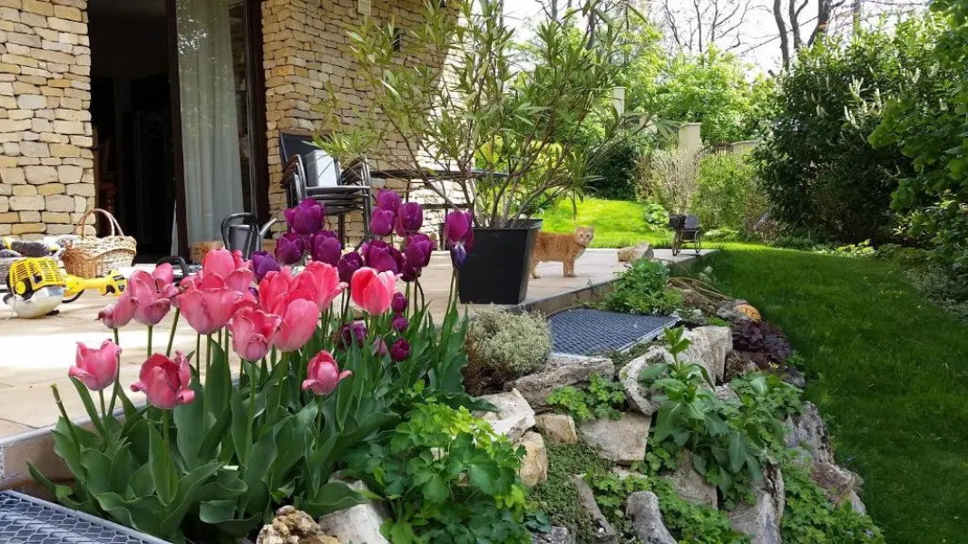 Sofia Apartment Kázmér