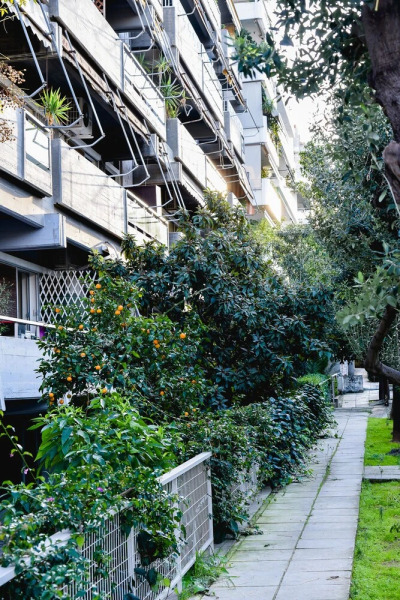 Family Apartment in Nea Smirni