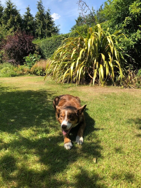 St Judes Bed & Breakfast