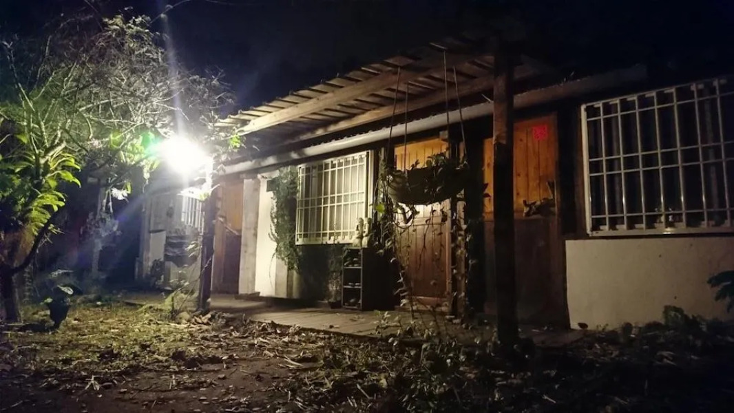 Flower and Green Collection