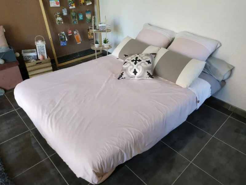 Les Agapanthes du frontonnais