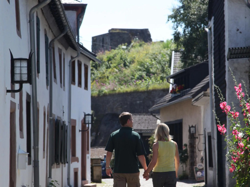 Luxury Villa with Fireplace near Reservoir in Nordeifel