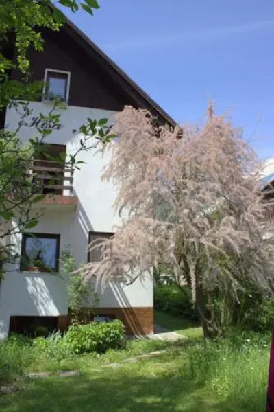 Apartment House Anton with Free Parking