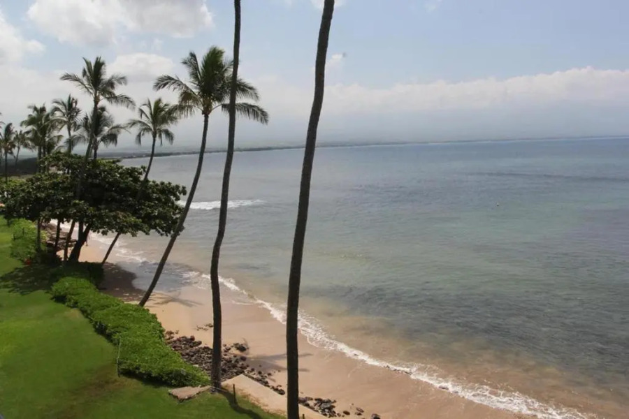 Kanai A Nalu 212 2 Bedrooms 2 Bathrooms Condo