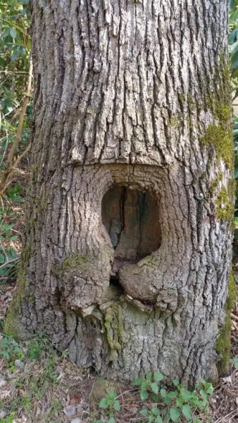 Ferienwohnung Jo Secco