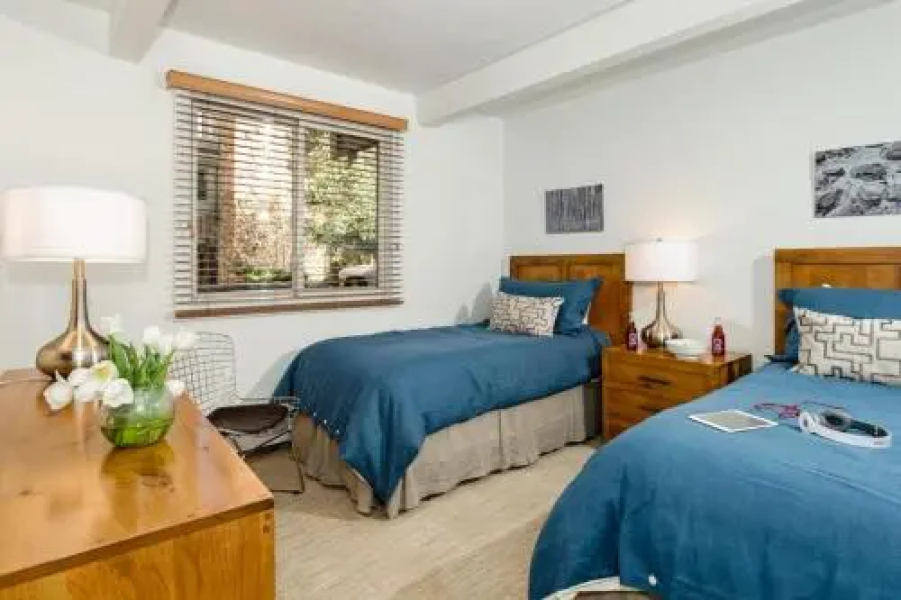 Standard Two Bedroom - Aspen Alps 101