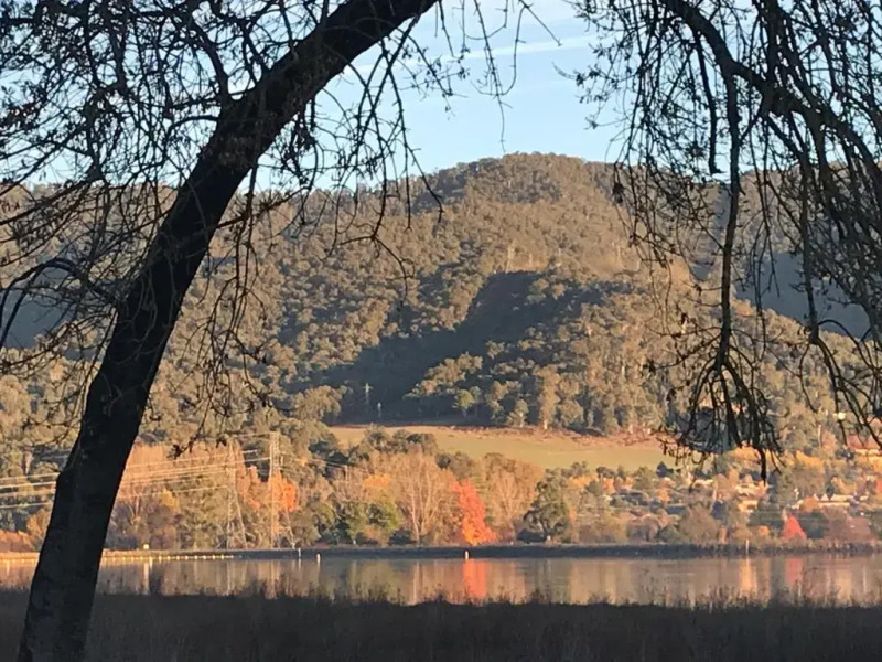 The Ginger Bread House