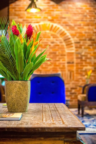 Nayara Springs - Adults only