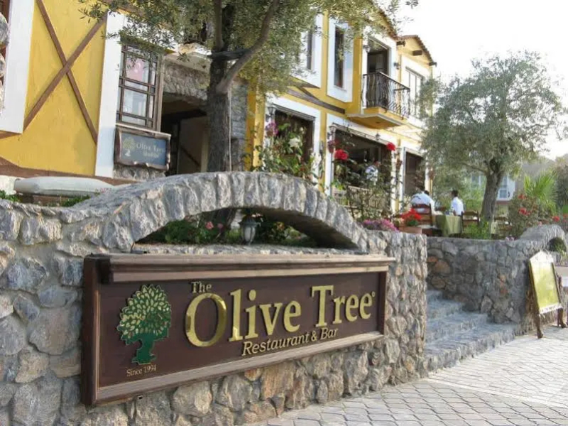 Olive Tree Studio