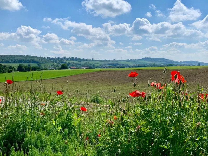 Appartementen De Zegelskoël