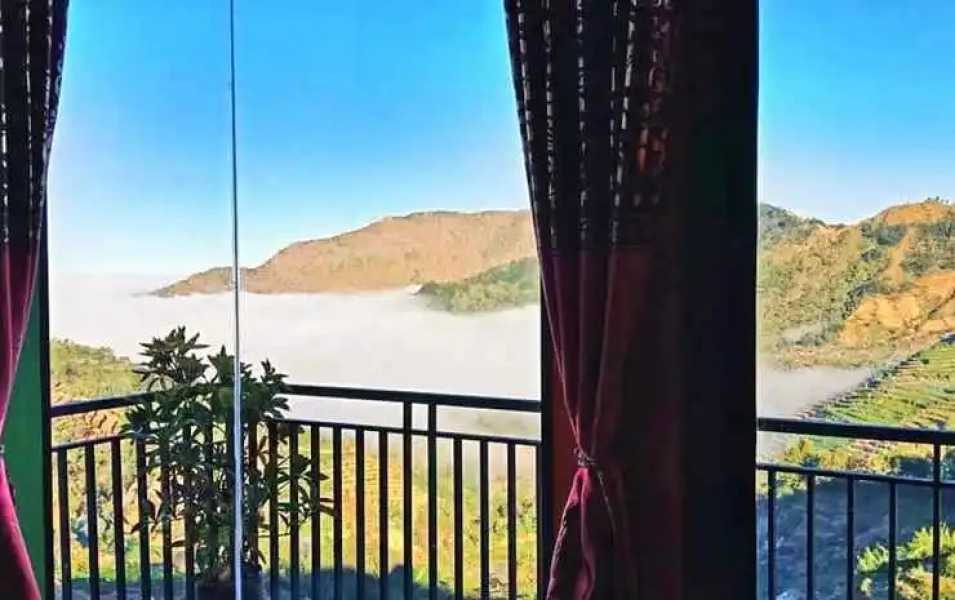 Afton Homestay Sikunir