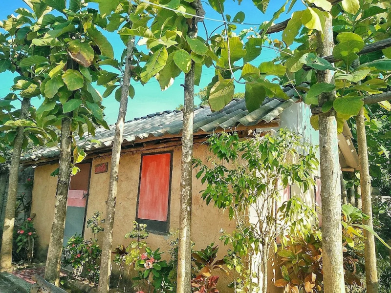 Tiddin Resort & Garden