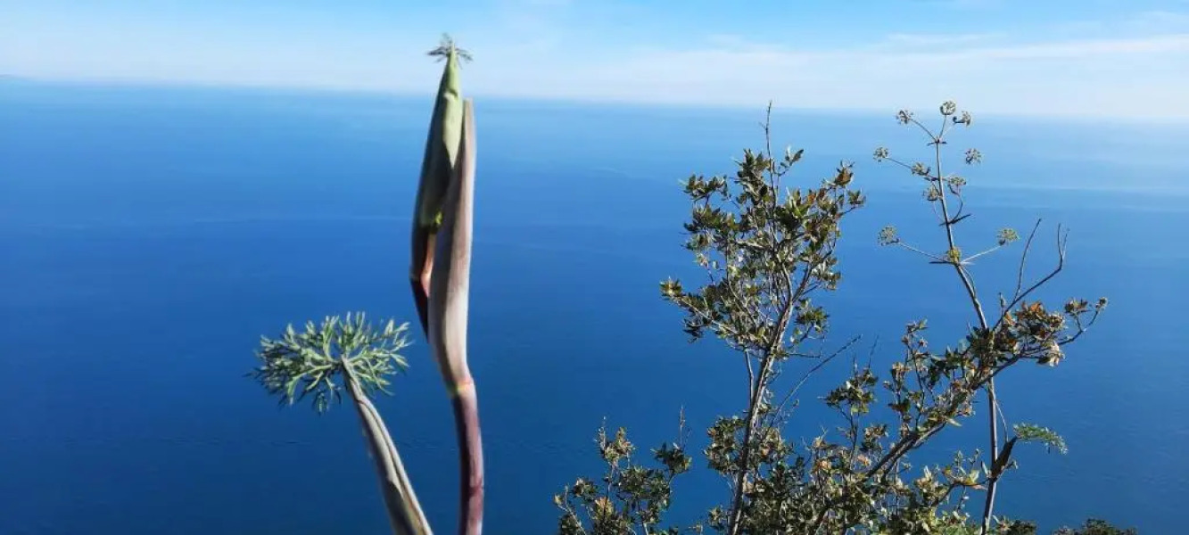 Appartamento mare e monti Two