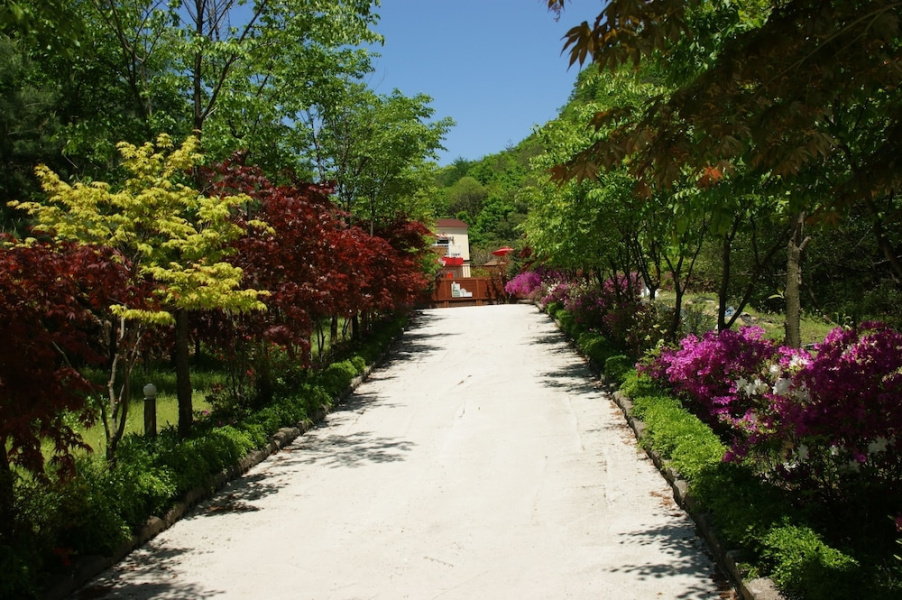 Pocheon Forest Pension