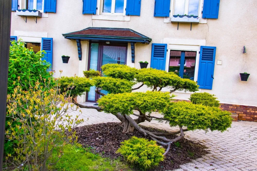 La Chambre Enchantée